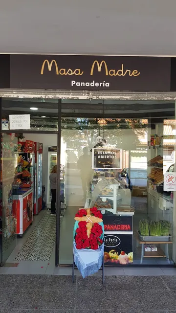 Masa madre