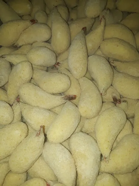 Sônia Salgados & Tortas