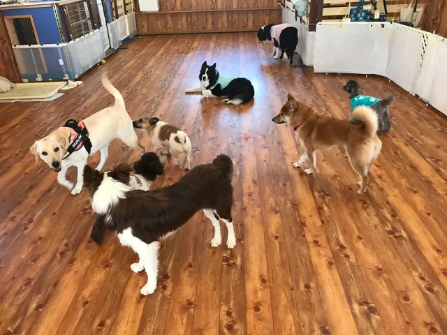 ドッグガーデンでぐま