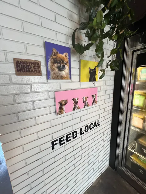 Wynwood Dog Food Co.