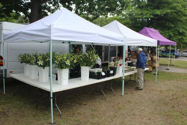 Camden Farmers Market