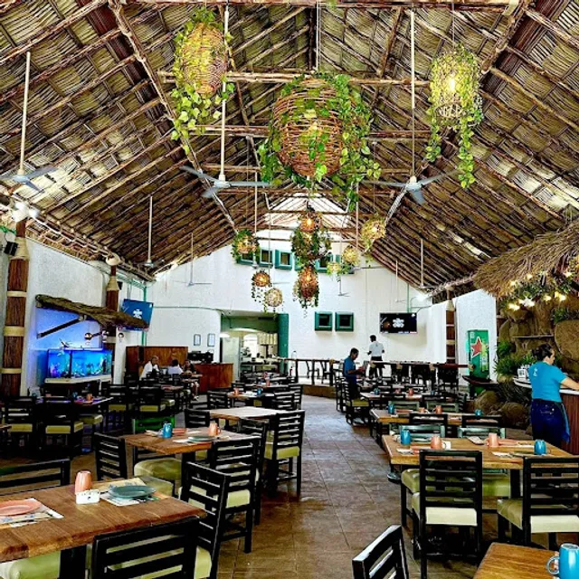 100% Natural Costa Azul