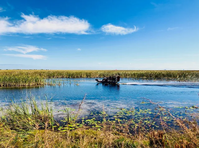 Blackwater Airboat Tours