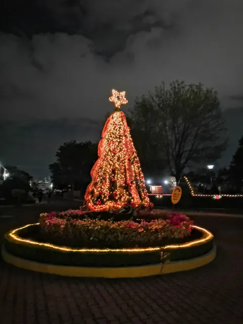 Mas Suites Bellavista