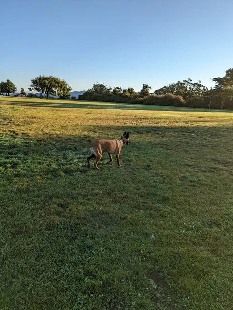 Pacific Heights Park