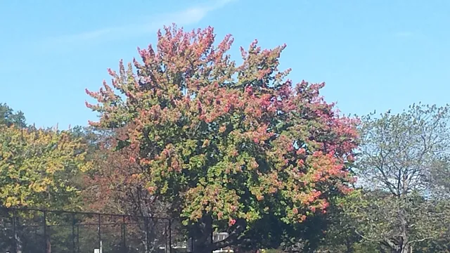 Signature Custom Wine Cellars of New England