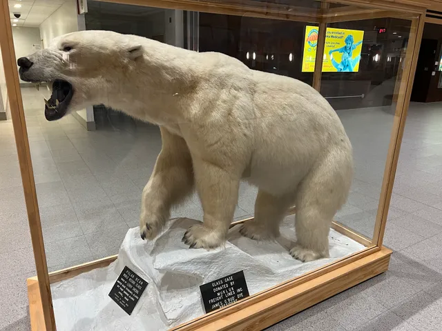 Fairbanks International Airport