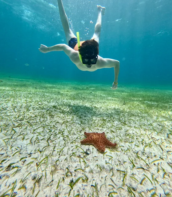 Maybe Tours Cozumel Quintana Roo México
