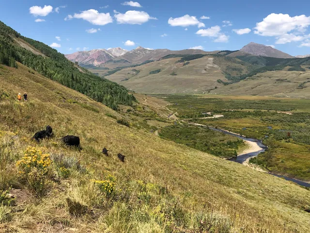 Brush Creek Trailhead