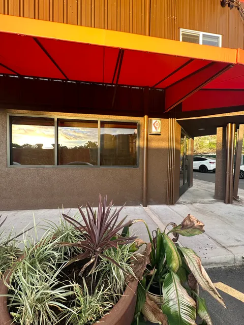 Sol Medical Wellness & Aesthetics