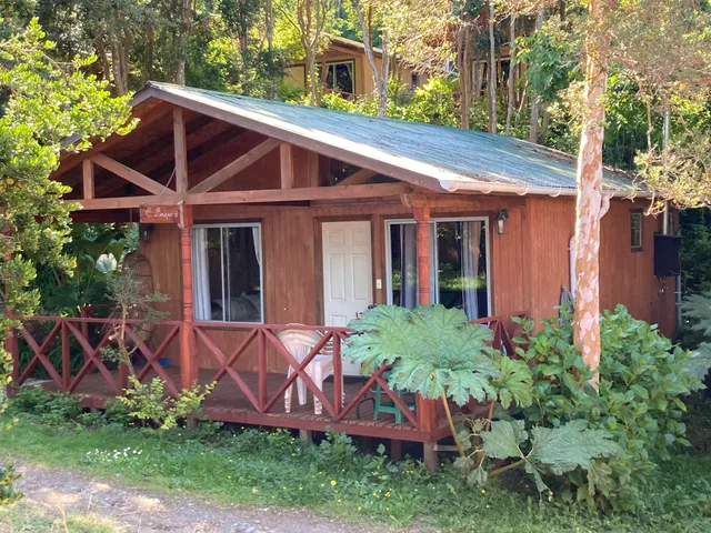 Patagonian Forest Cabins