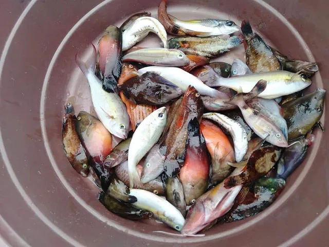 NACPAN GRILL RESTOBAR