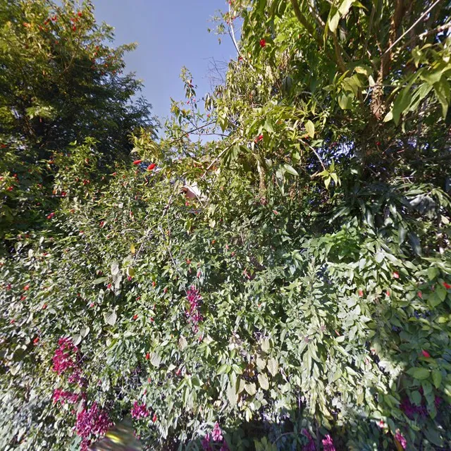 Surf'n Yôga Inn - Lagoa da Conceição