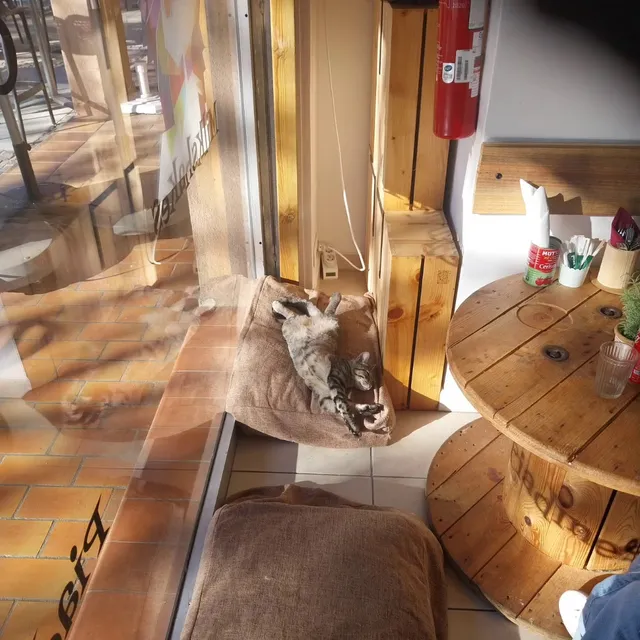 Mouans Chatoux - Café à chats