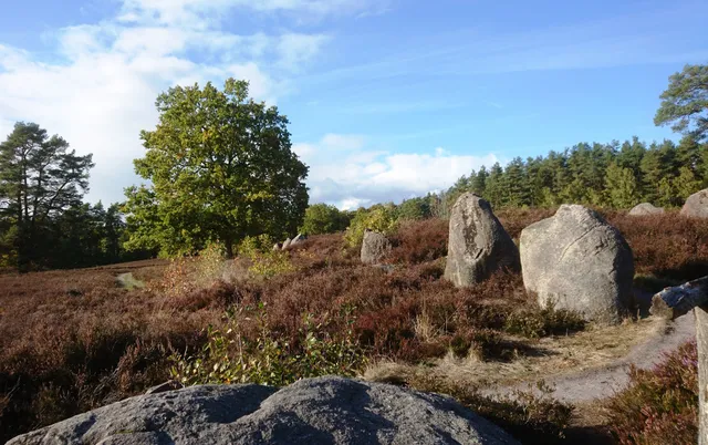 Office of the Lüneburg Heath Nature Park