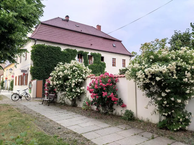 Hostel Old Meisterey