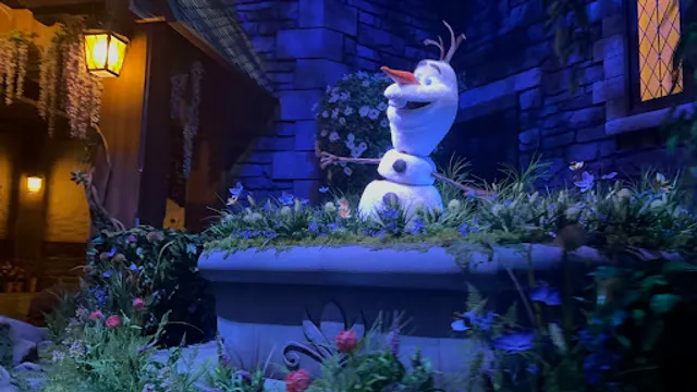 Anna and Elsa's Frozen Journey