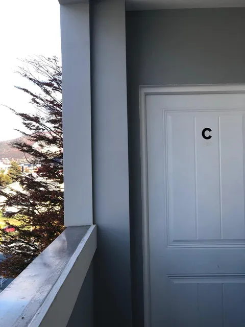 Becasina Patagónica C