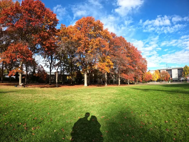 University of Victoria