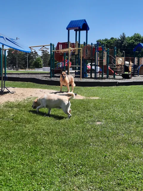 Prairie Meadow Park Shelter