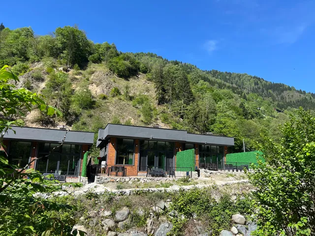 Ayder 4M Havuzlu Villalar