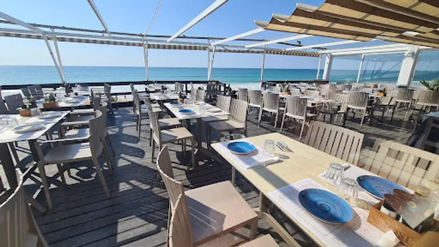 António Tá Certo - Almancil