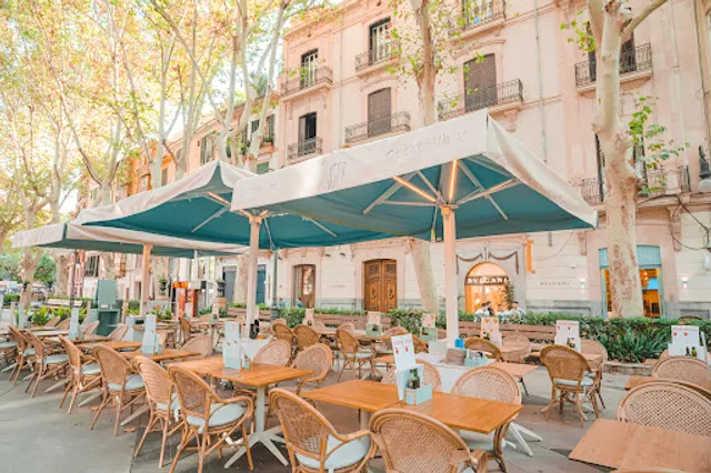 Ginger Palma Paseo del Borne