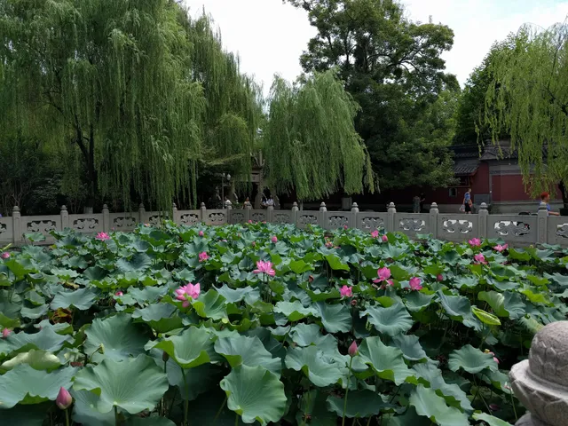 Xinbaima Apartment Children Amusement Park