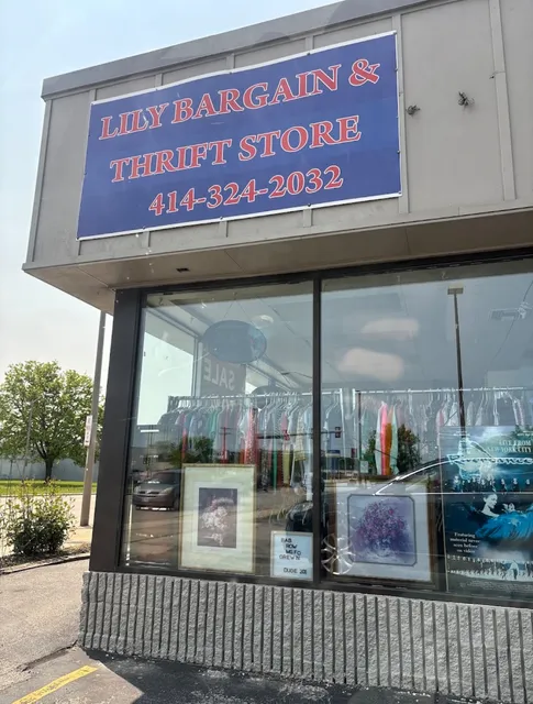 Lily Bargain and Thrift Store