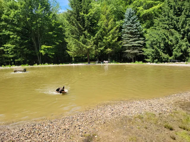 Shaggy Pines Dog Park
