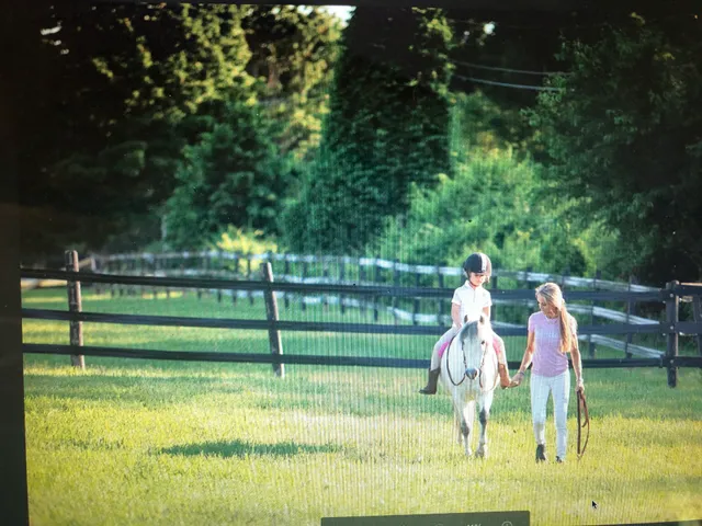 Swedish Hill Farm and Spa