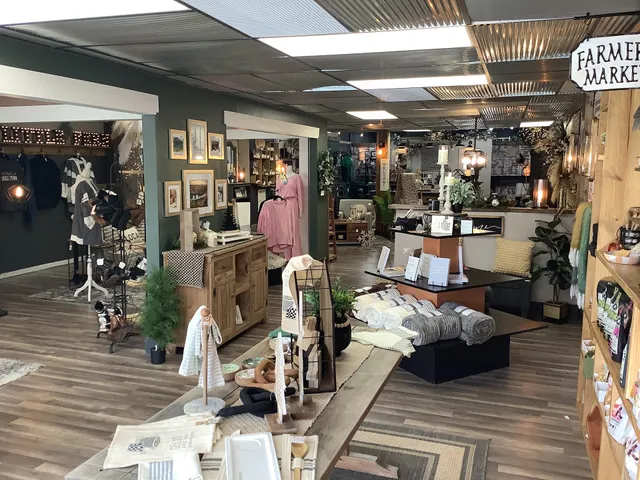 The Little Fern Shop