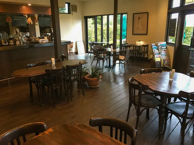 cafe NOVIRO