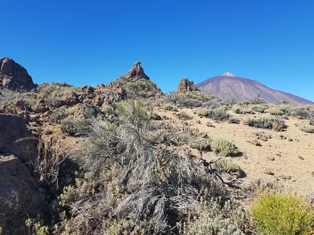 El Teide - El Portillo (T)
