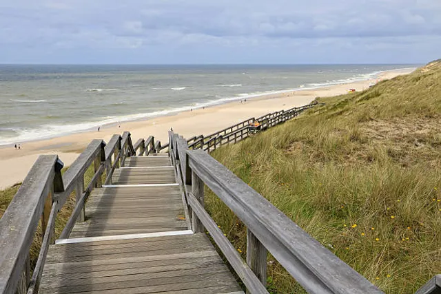Strand / Duinen bij Bloemendaal aan Zee
