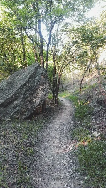 Tobin Park Trailhead