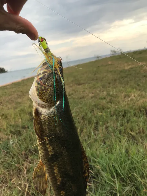 Pousada Pescatucunaré