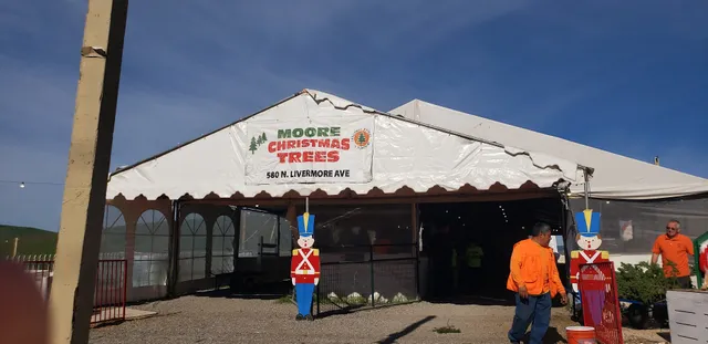 ABC Tree Farms & Pick of the Patch Pumpkins