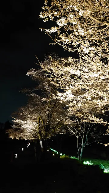 Tokyo Forestry Association