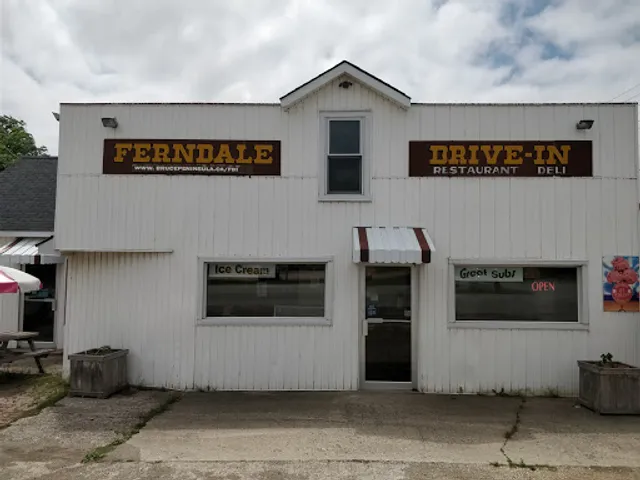 Ferndale Drive In