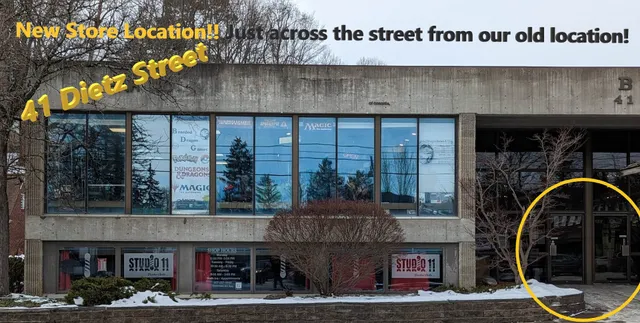 Bearded Dragon Games