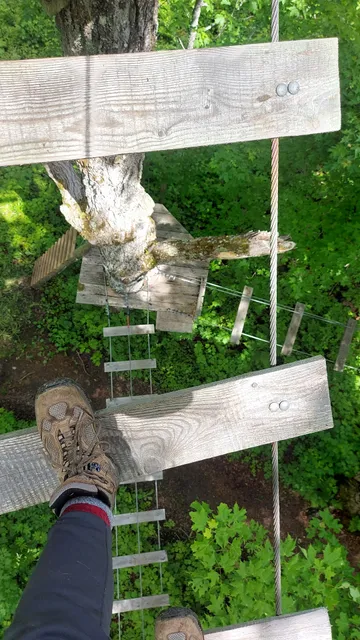 Foret De Maitre Corbeau