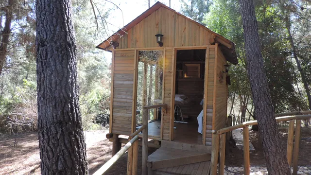 Cabaña Casa Tetelhue