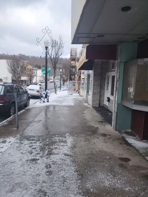 Downtown Shenandoah Inc