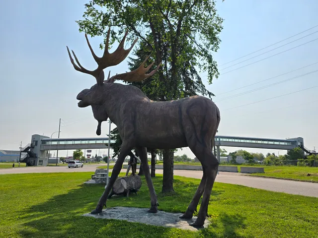 Naked North Art Gallery & Gifts