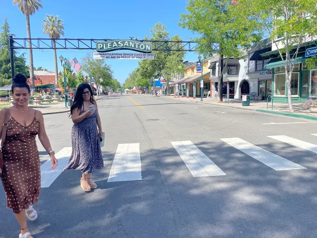 Pleasanton Antiques & Collectibles Fair