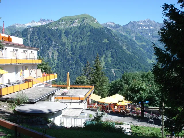 Adrenalin Backpackers Hostel