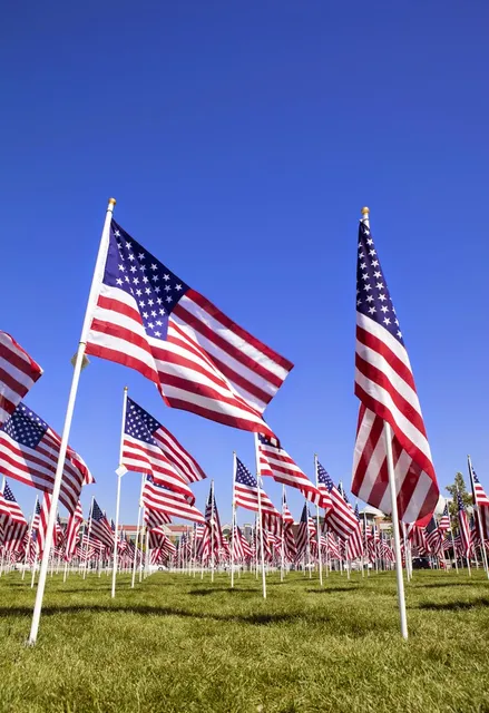 All The King's Flags