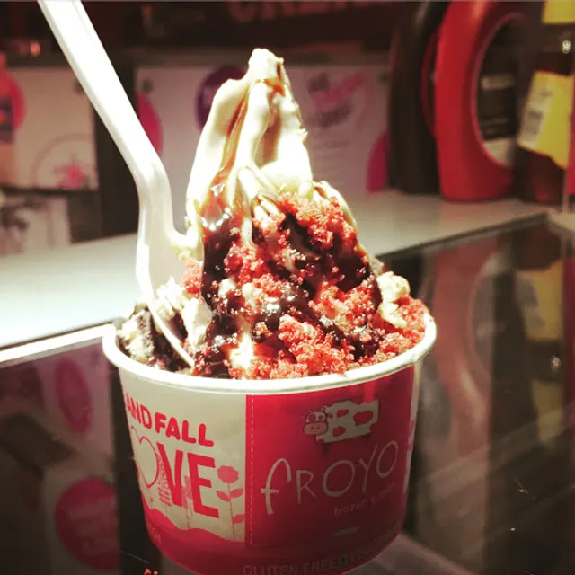 FROYO Frozen Yogurt and Treats