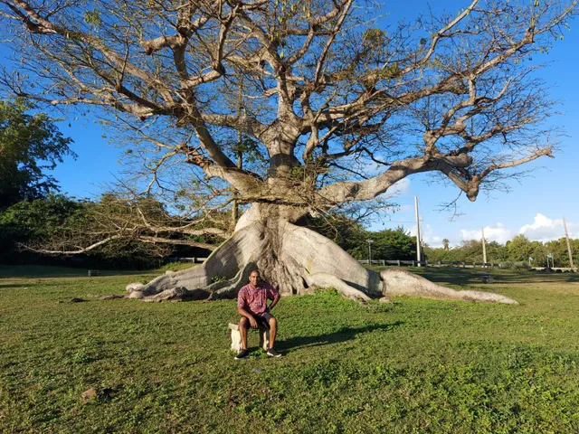 La Ceiba Centenaria Ecological Park
